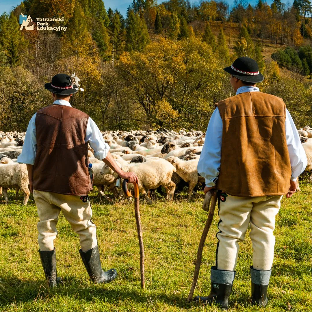 History of Podhale and Zakopane, where did the Polish Highlanders come from