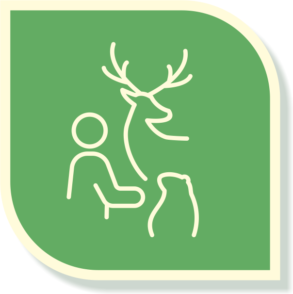 Zwierzęta